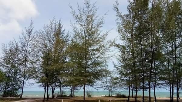 Paka Tamim Seaview Hotel Экстерьер фото